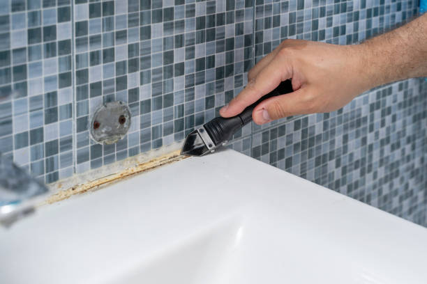 Trusted Placentia, CA Mold Remediation Experts